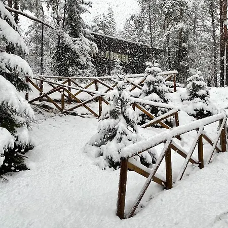 Feriehus La Stella A Corte Borca di Cadore