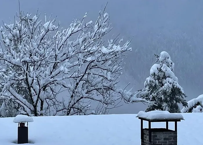 Casa vacanze La Stella A Corte Borca di Cadore